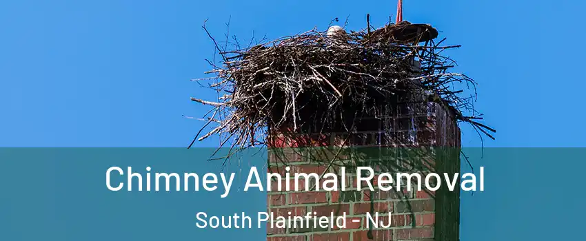  Chimney Animal Removal South Plainfield - NJ