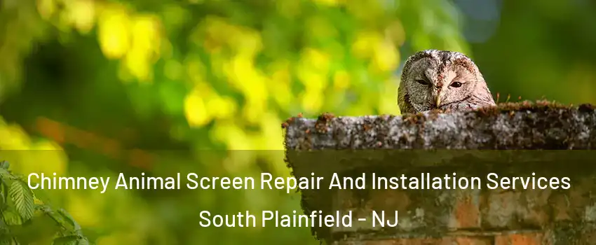  Chimney Animal Screen Repair And Installation Services South Plainfield - NJ