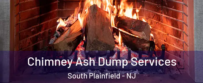  Chimney Ash Dump Services South Plainfield - NJ