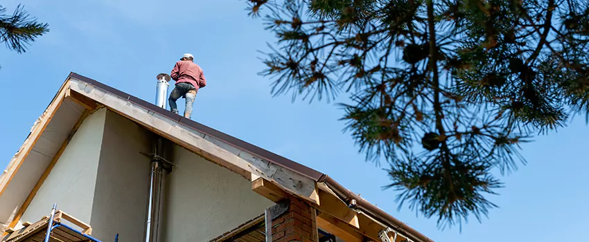 Birds Removal Contractors from Chimney in South Plainfield, NJ