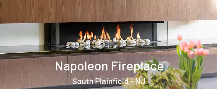  Napoleon Fireplace South Plainfield - NJ